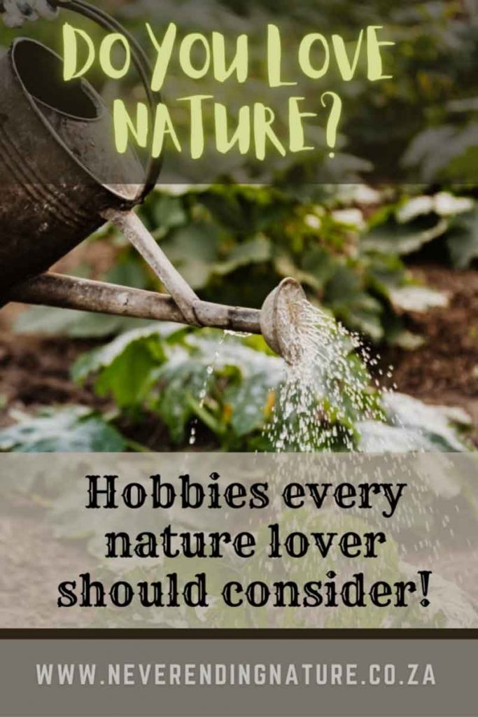 Pin image for hobbies ideal for nature lovers