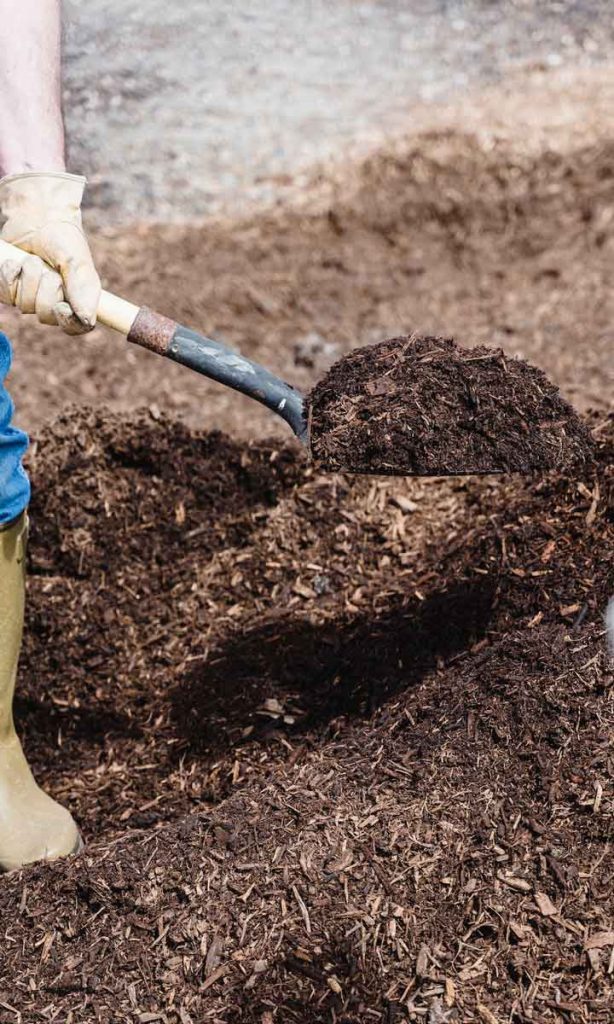 Want healthy plants and a healthy organic garden? Creating your own compost will go a long way in your sustainable gardening journey. Photo: Greta Hoffman, Pexels.