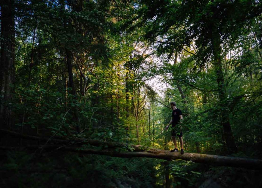 A hiker walking on a tree trunk in a forest setting, not on a trail