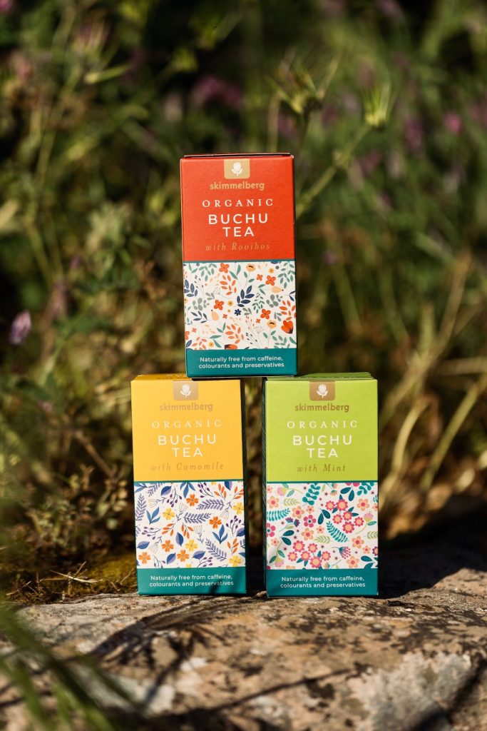 Skimmelberg buchu tea