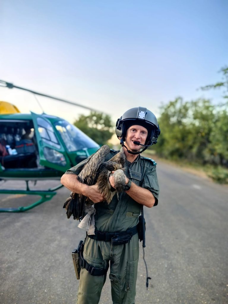 SANParks pilot Bradford Grafton with one of the rescued vultures in his arms, the SANParks helicopters in the background.