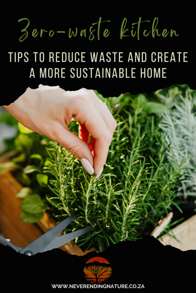 Pin image zero waste kitchen