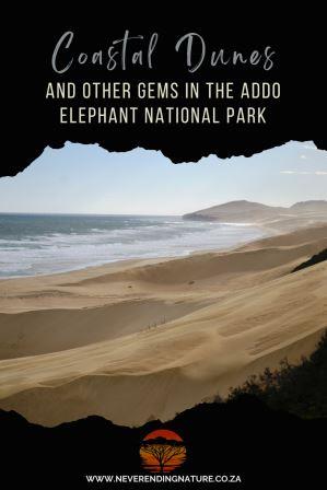 Pin with image of the coastal dunes protected by the Addo Elephant National Park.