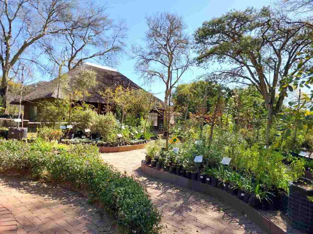 Plants sold at the Random Harvest Nursery