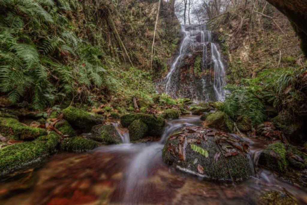 A waterfall and river in a forest.