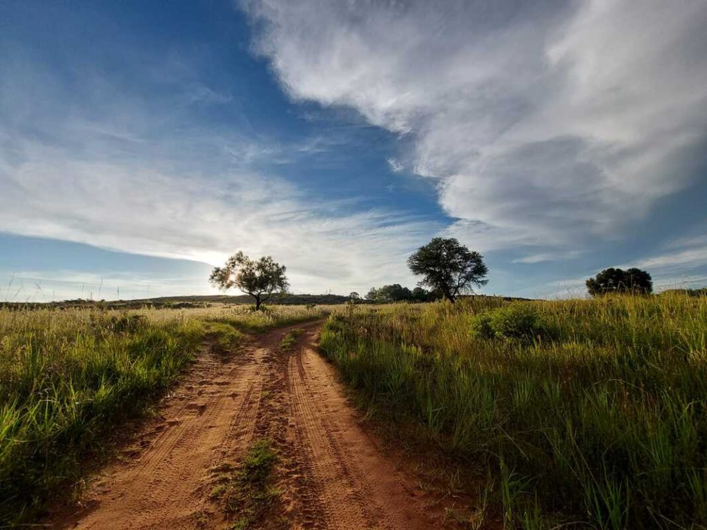 Scenic views at Markon River Lodge