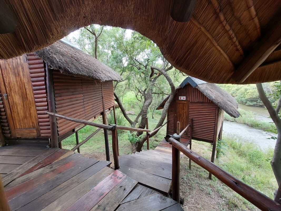 Sleeping in the trees: A quiet getaway near Johannesburg post thumbnail image
